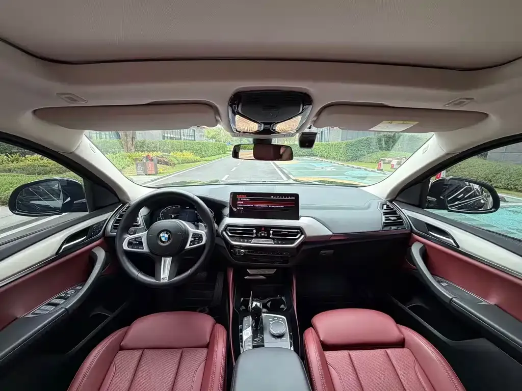 BMW X4 2023 из CN, фото 6