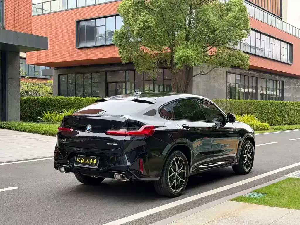 BMW X4 2023 из CN, фото 7