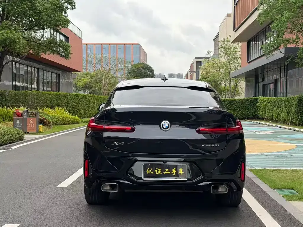 BMW X4 2023 из CN, фото 3