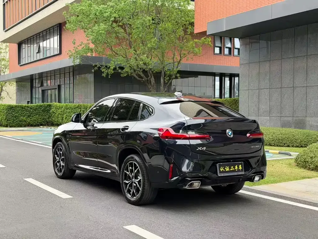 BMW X4 2023 из CN, фото 8