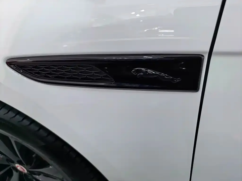 Jaguar F-PACE 2023 из CN, фото 6