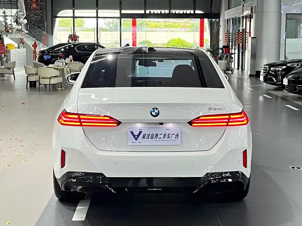 BMW 5 Series 2025 из CN, фото 7