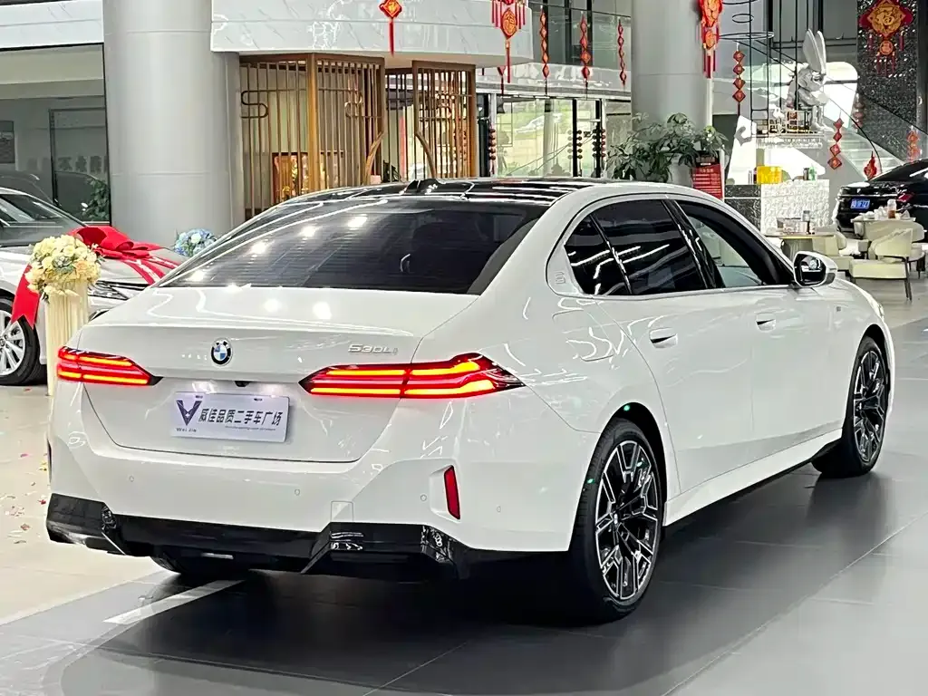 BMW 5 Series 2025 из CN, фото 6