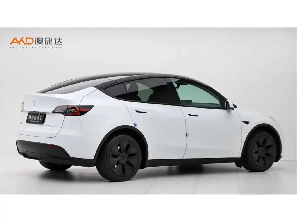 Tesla Model Y — фото 3