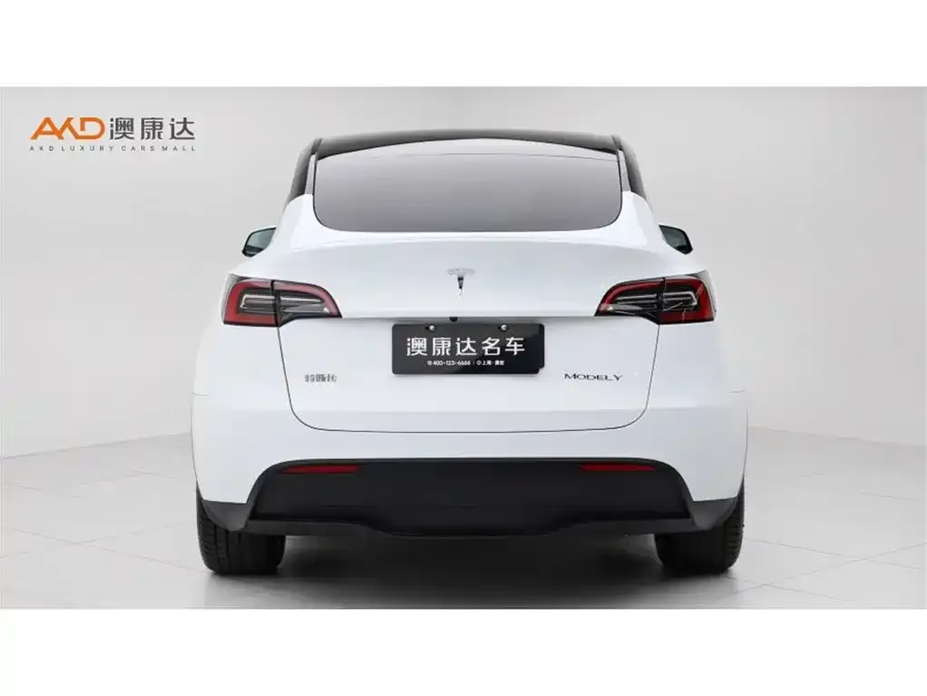 Tesla Model Y — фото 8