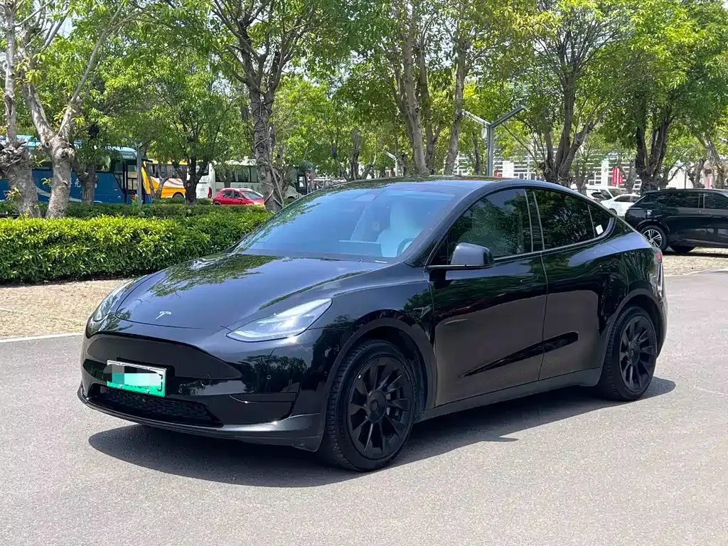Tesla Model Y — фото 1