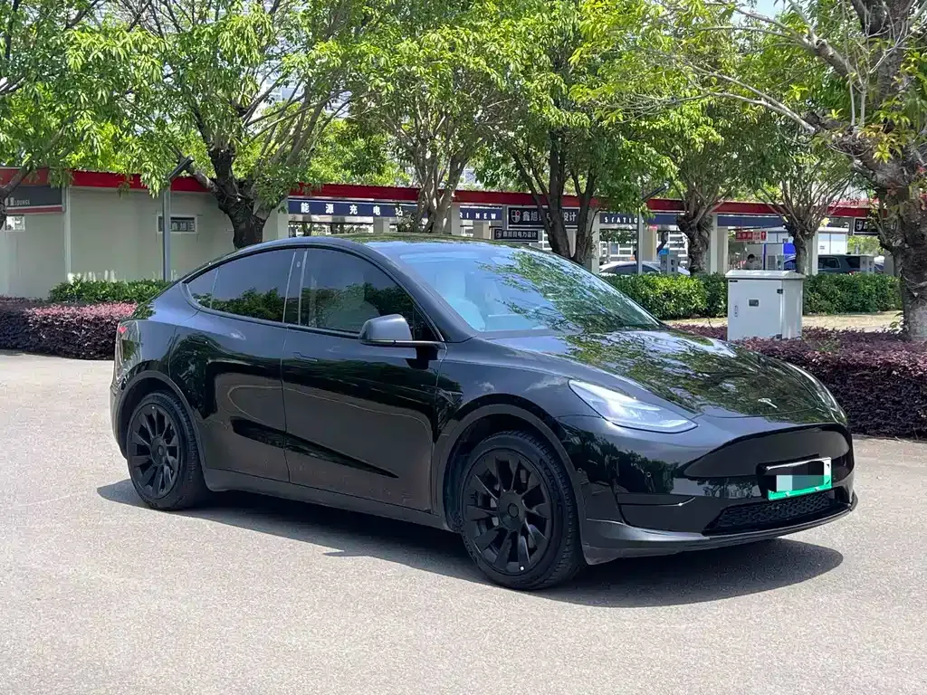 Tesla Model Y — фото 6