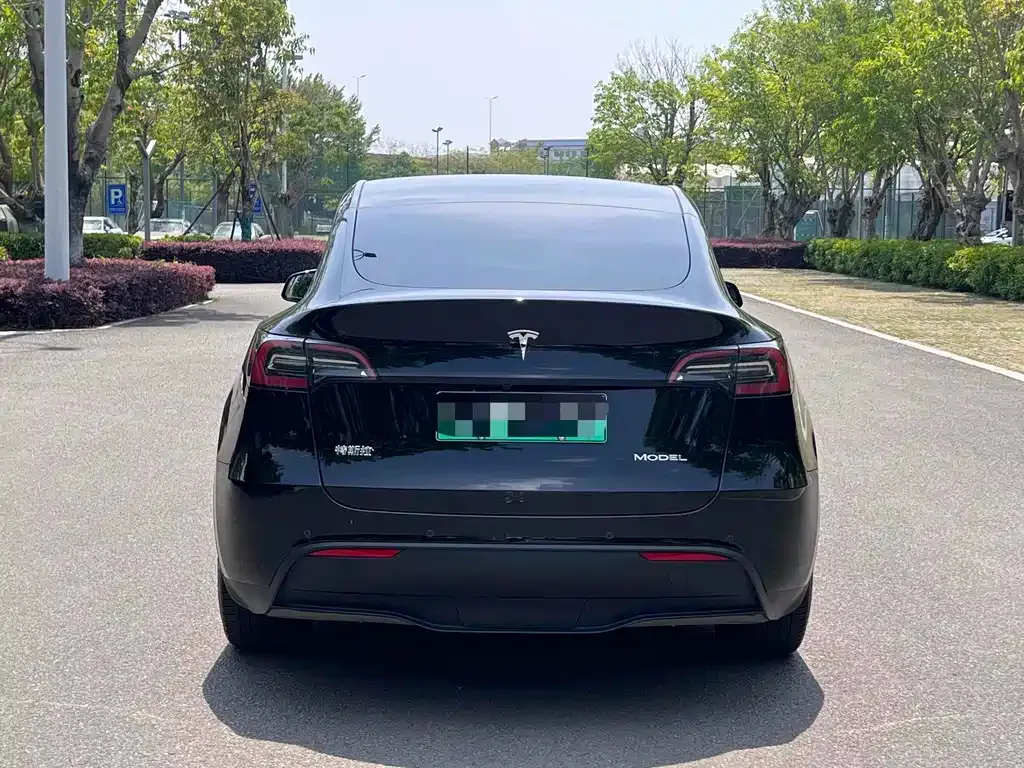 Tesla Model Y — фото 3