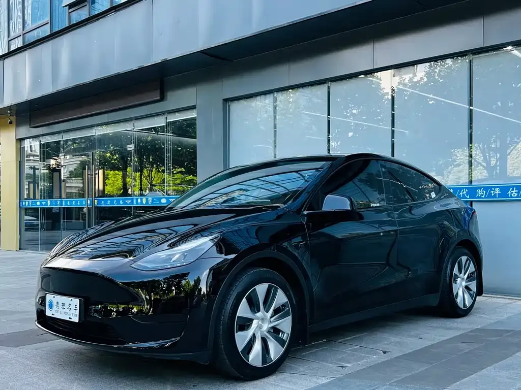 Tesla Model Y — фото 10