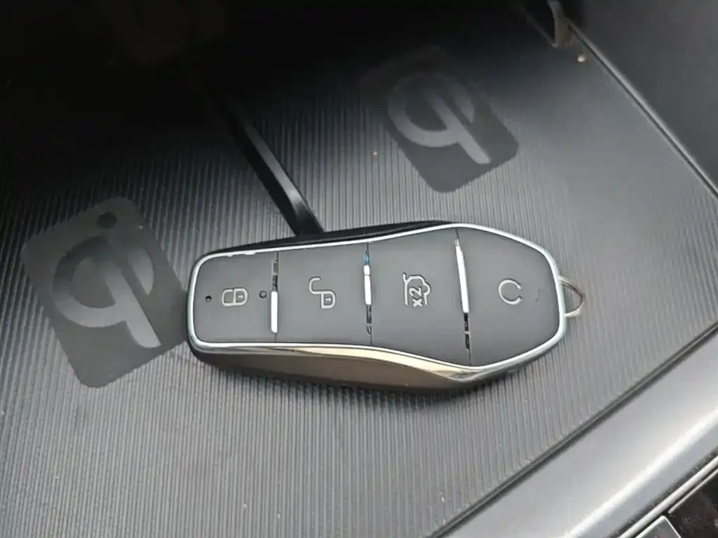 BYD PLUS New Energy — фото 2