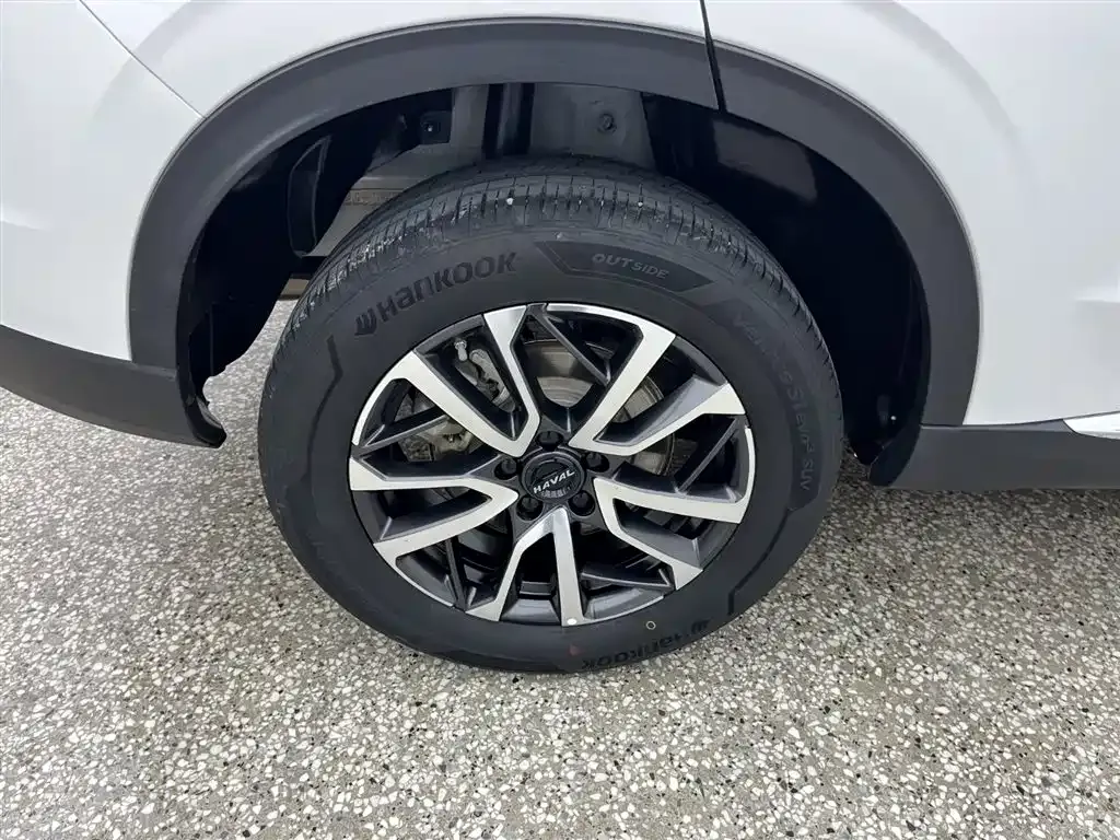 Haval H6 2023 из CN, фото 10