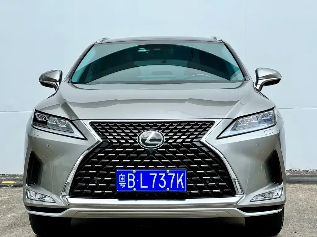 Lexus RX — фото 10