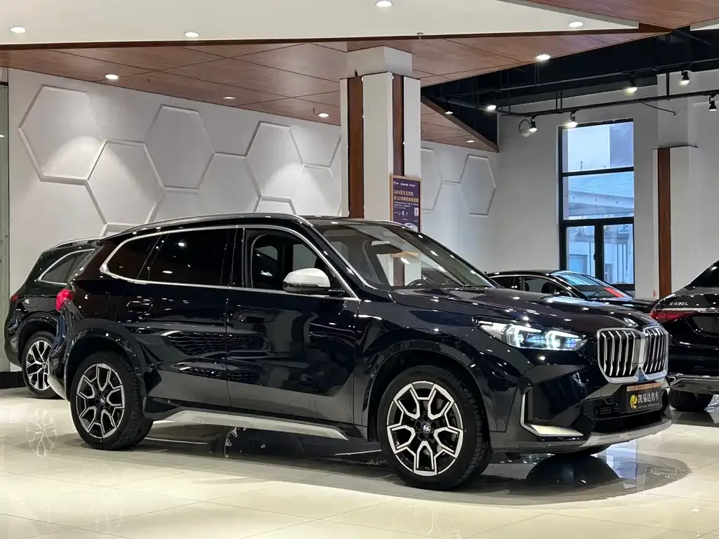 BMW X1 2024 из CN, фото 7