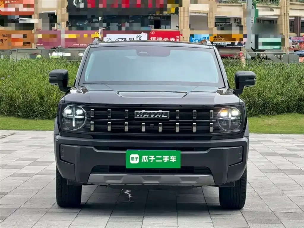 Haval Cool Dog — фото 6
