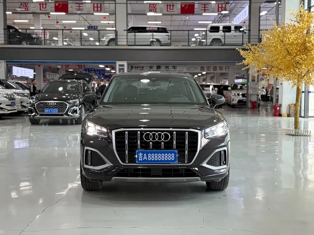 Audi Q2L 2023 из CN, фото 9