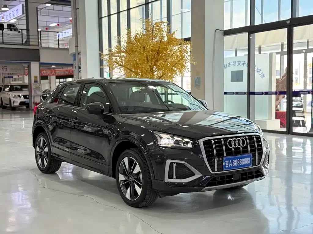 Audi Q2L 2023 из CN, фото 10