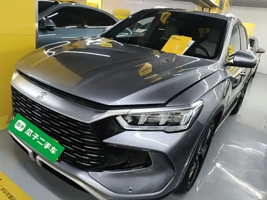 BYD Pro New Energy 2023 из CN, фото 1