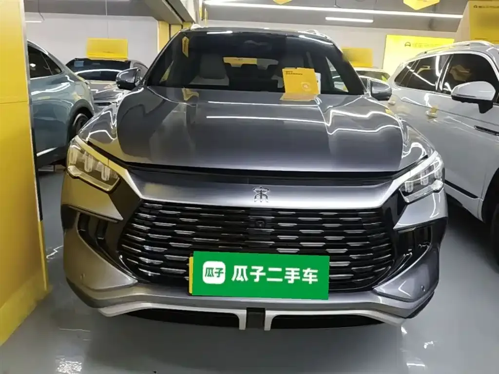 BYD Pro New Energy 2023 из CN, фото 6