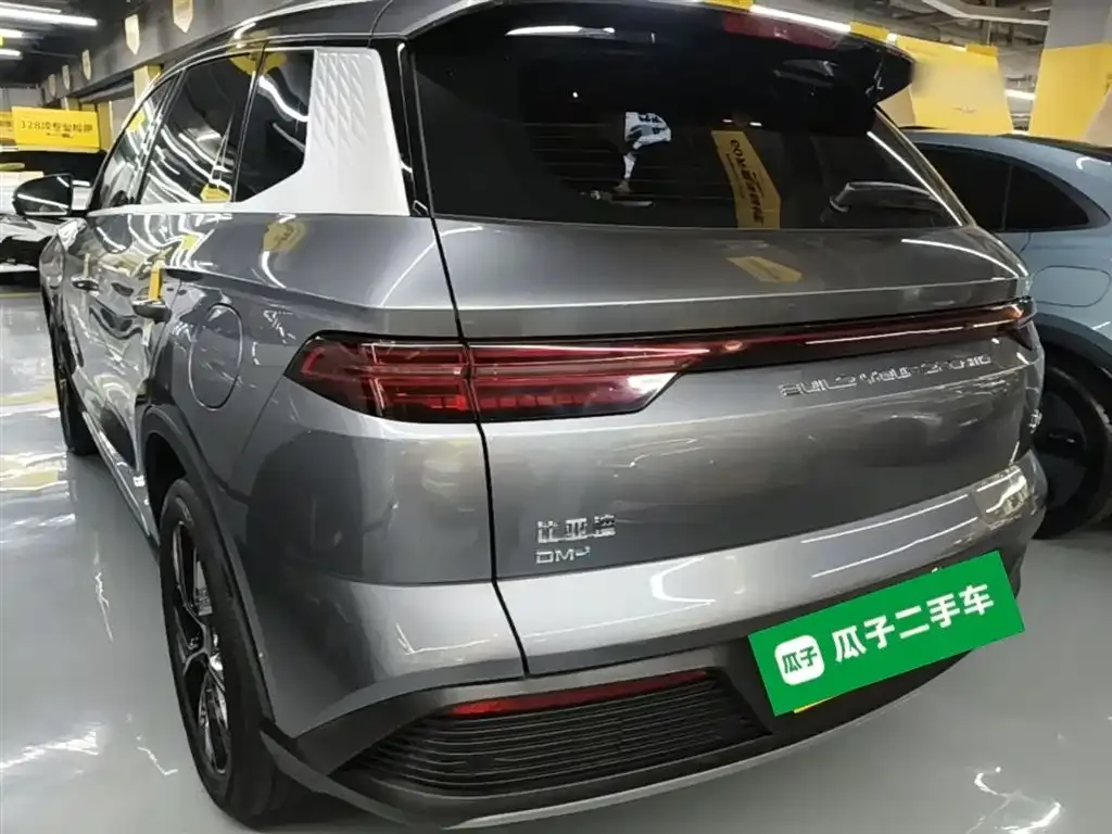 BYD Pro New Energy 2023 из CN, фото 10