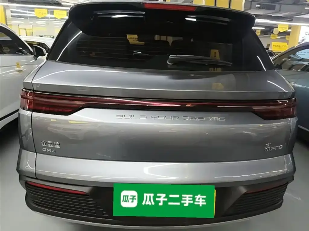 BYD Pro New Energy 2023 из CN, фото 2