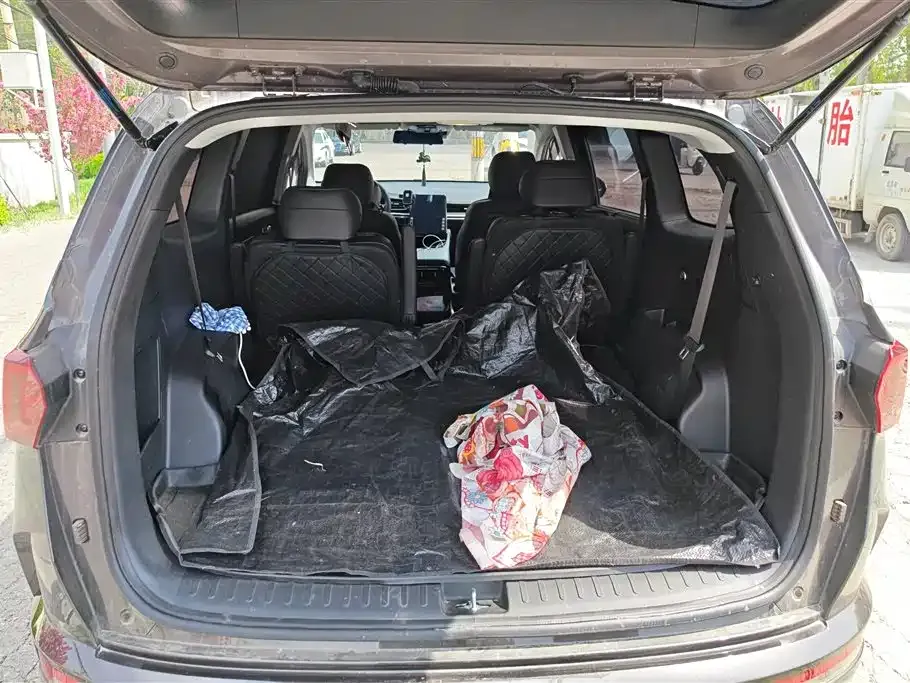 Hyundai Custo — фото 10