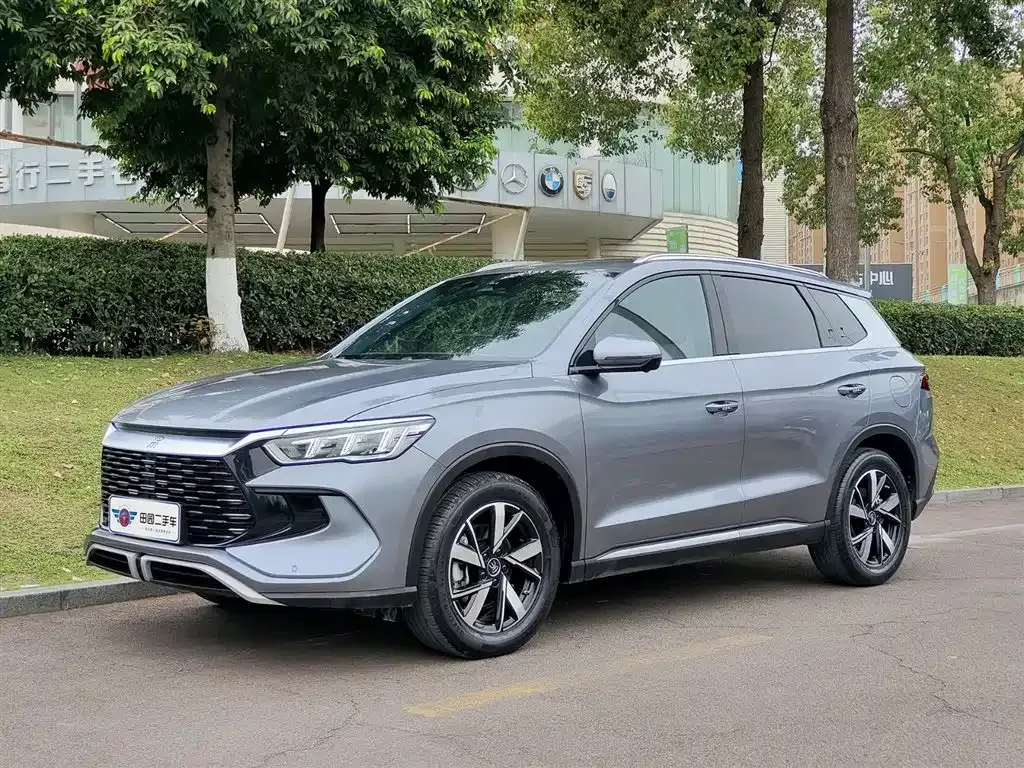 BYD Pro New Energy 2024 из CN, фото 1