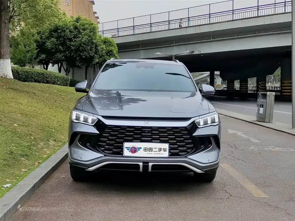 BYD Pro New Energy 2024 из CN, фото 10