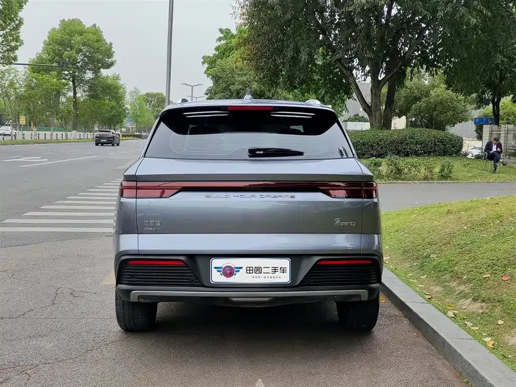 BYD Pro New Energy 2024 из CN, фото 5