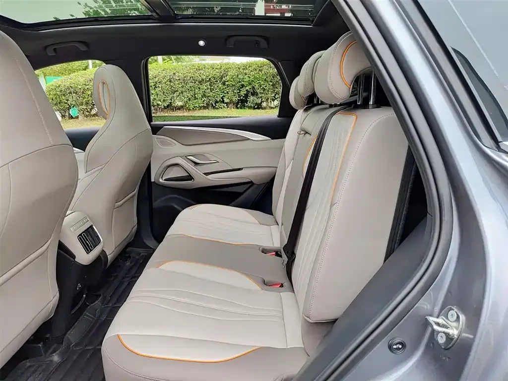 BYD Pro New Energy 2024 из CN, фото 4