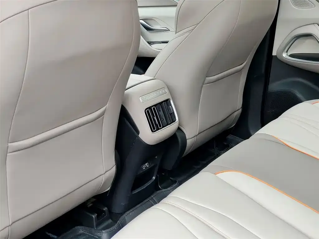 BYD Pro New Energy 2024 из CN, фото 2