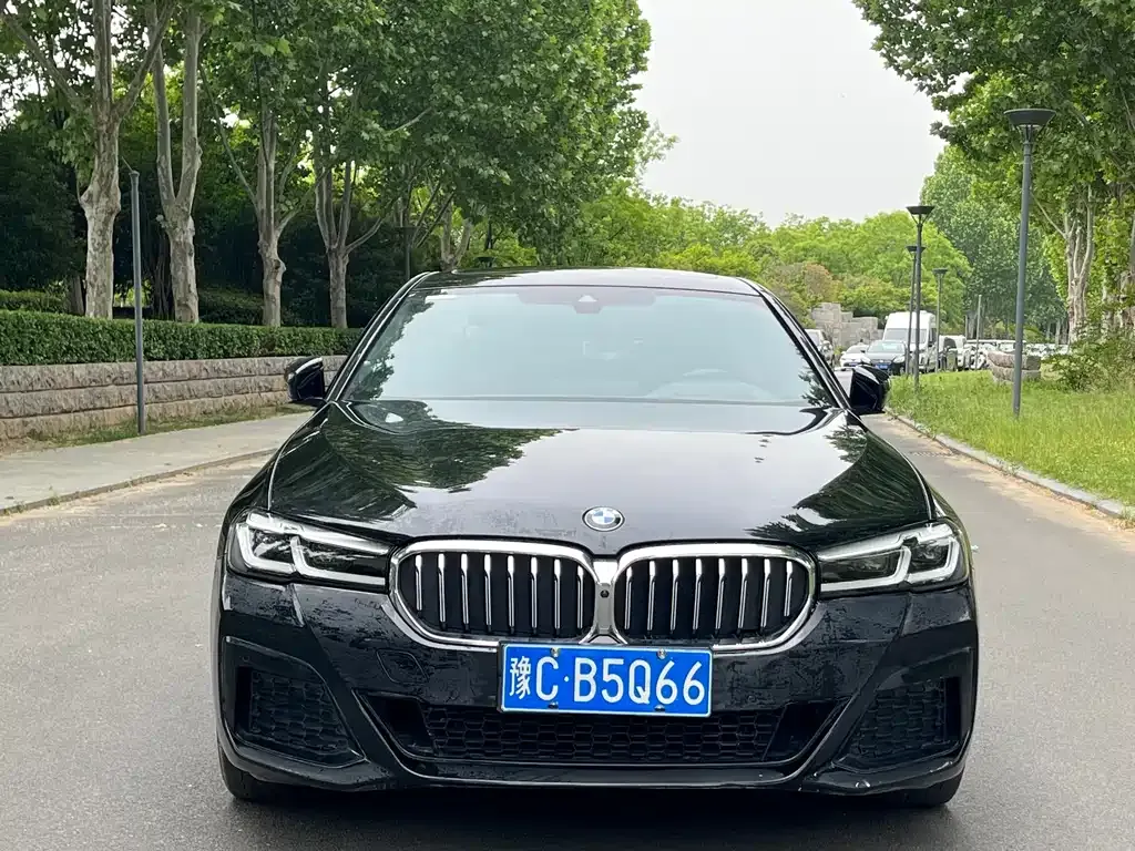BMW 5 Series 2023 из CN, фото 4