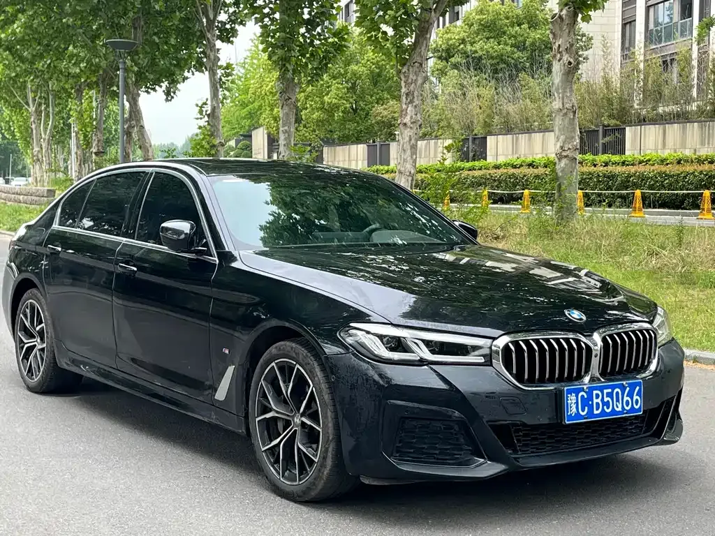 BMW 5 Series 2023 из CN, фото 5