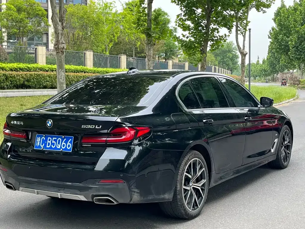 BMW 5 Series 2023 из CN, фото 6