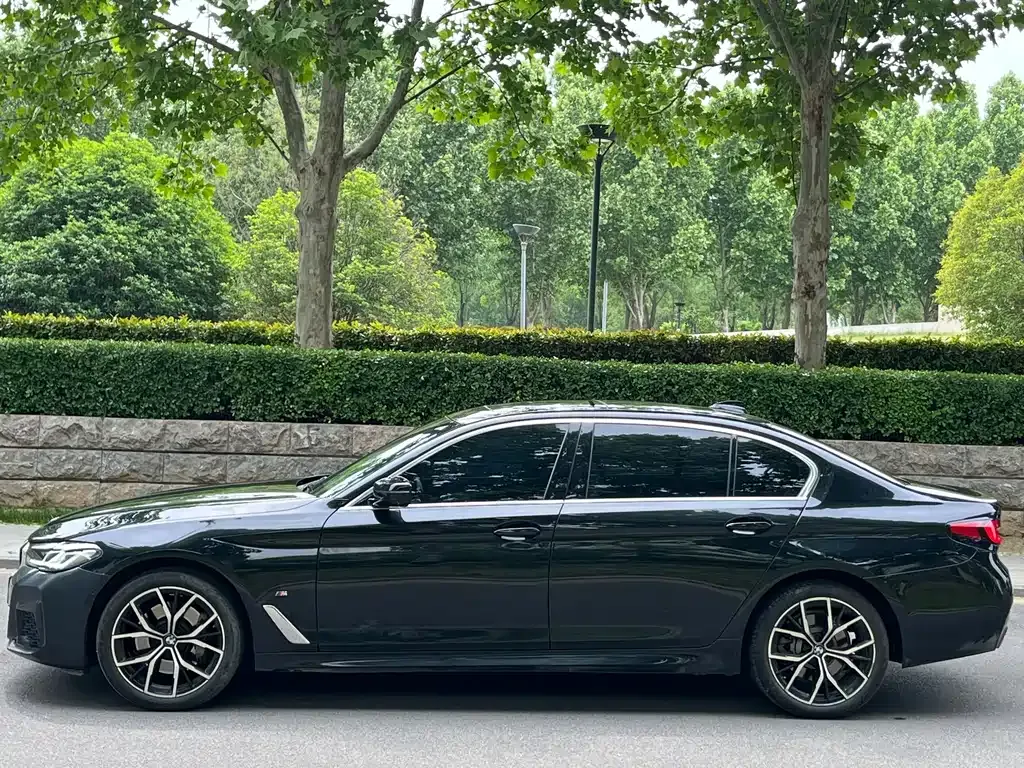 BMW 5 Series 2023 из CN, фото 9