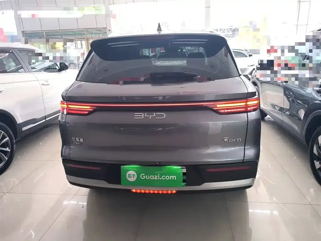 BYD Pro New Energy — фото 9