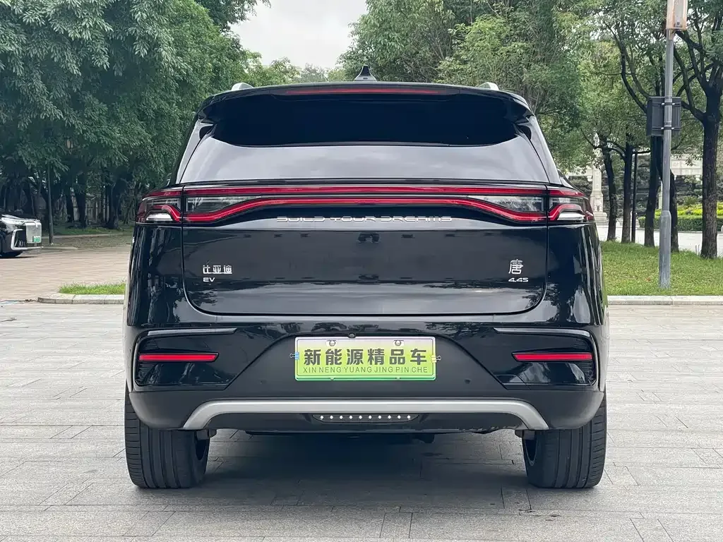 BYD Tang New Energy — фото 6