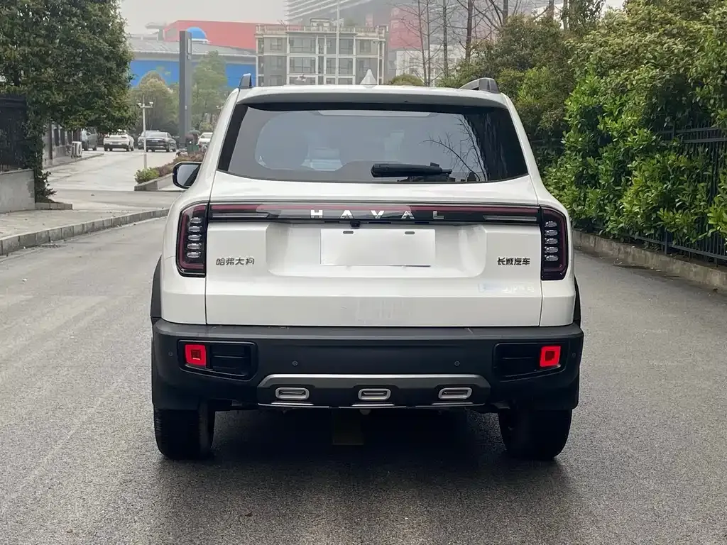 Haval Big Dog — фото 4