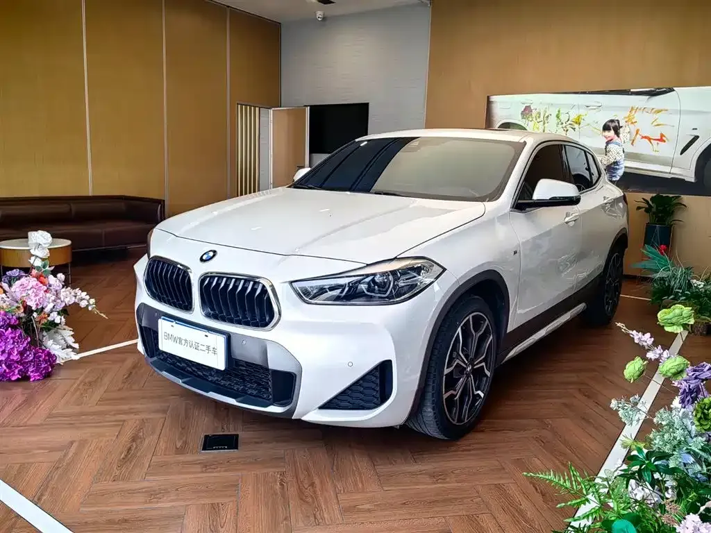 BMW X2 — фото 1