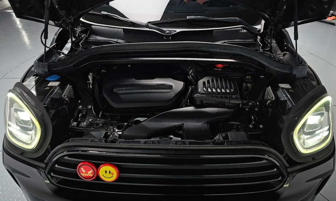 Mini Countryman 2021 из KR, фото 3
