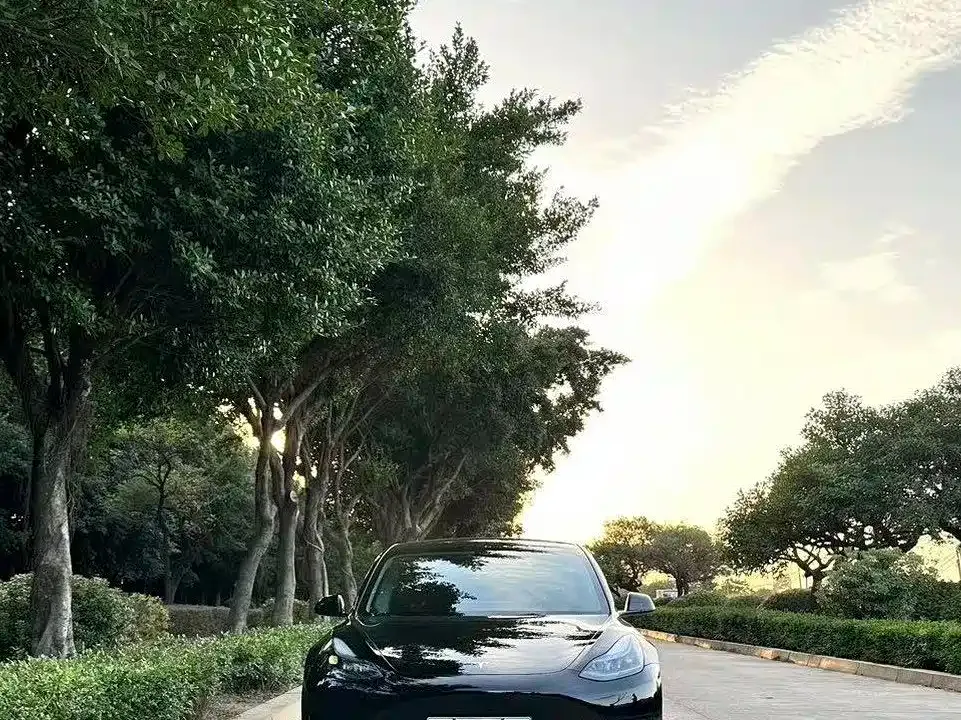 Tesla Model 3 2023 из CN, фото 7