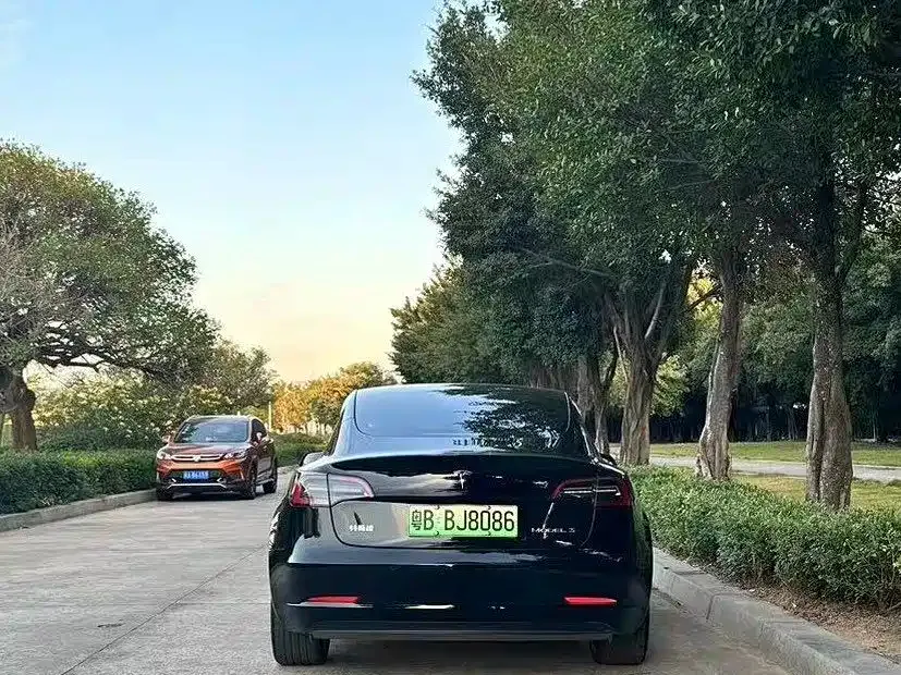 Tesla Model 3 2023 из CN, фото 4