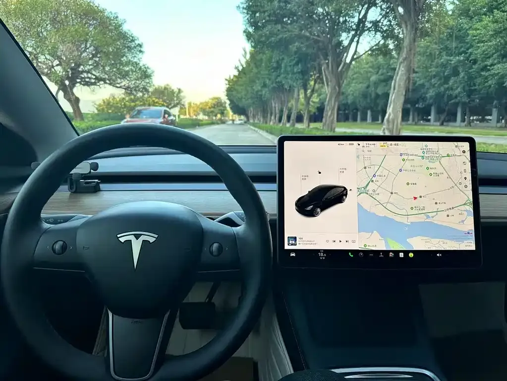 Tesla Model 3 2023 из CN, фото 6