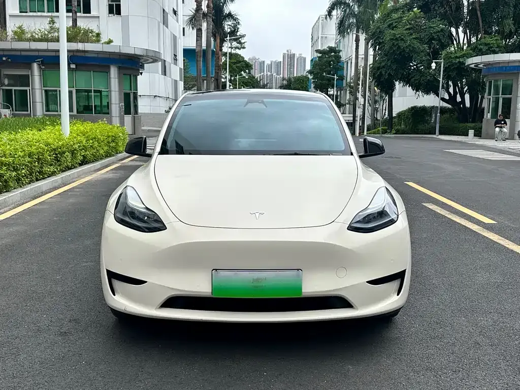 Tesla Model Y — фото 10