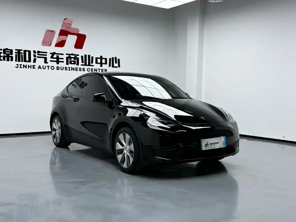 Tesla Model Y 2023 из CN, фото 5