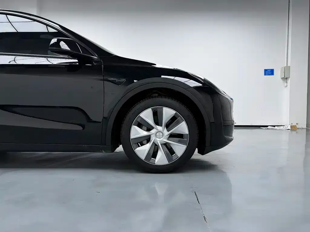 Tesla Model Y 2023 из CN, фото 6