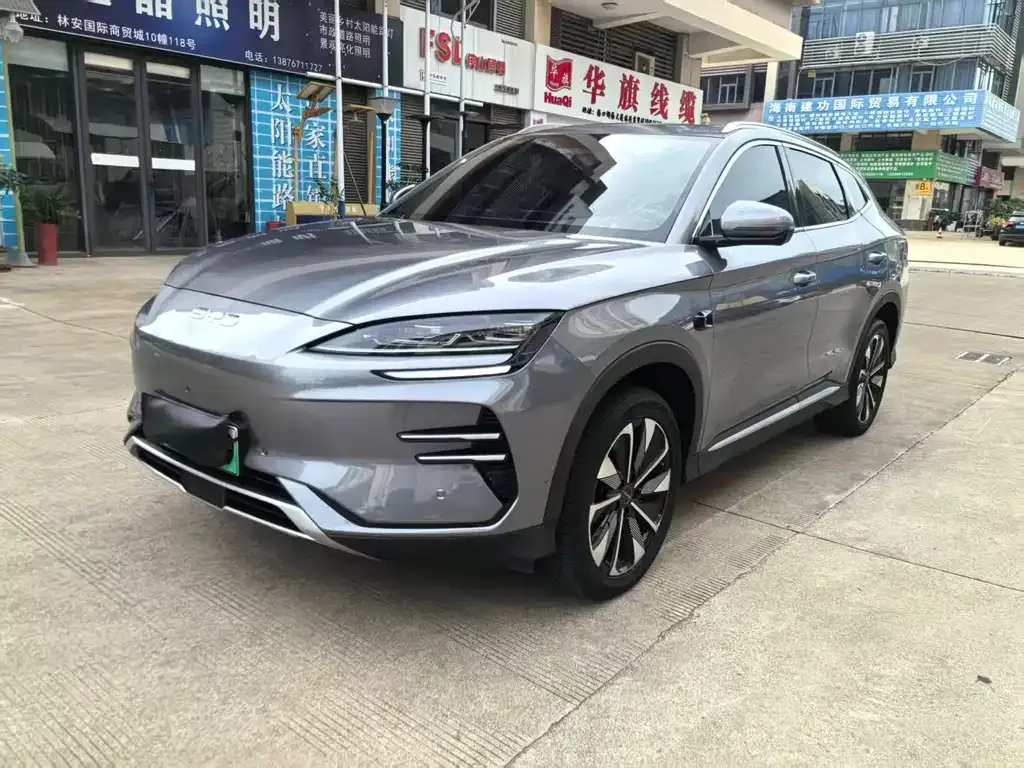 BYD PLUS New Energy 2025 из CN, фото 1