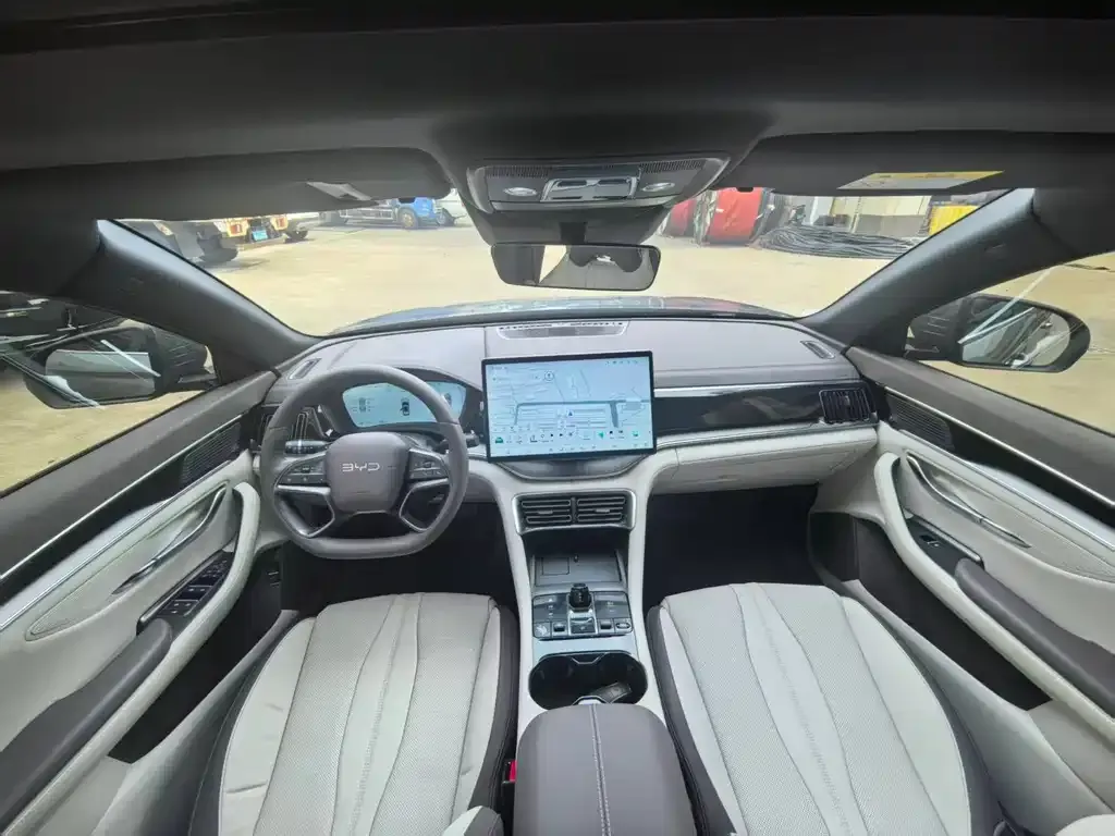 BYD PLUS New Energy 2025 из CN, фото 9