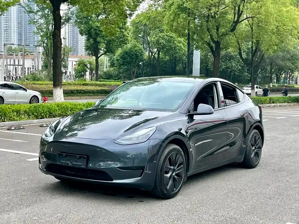Tesla Model Y — фото 1