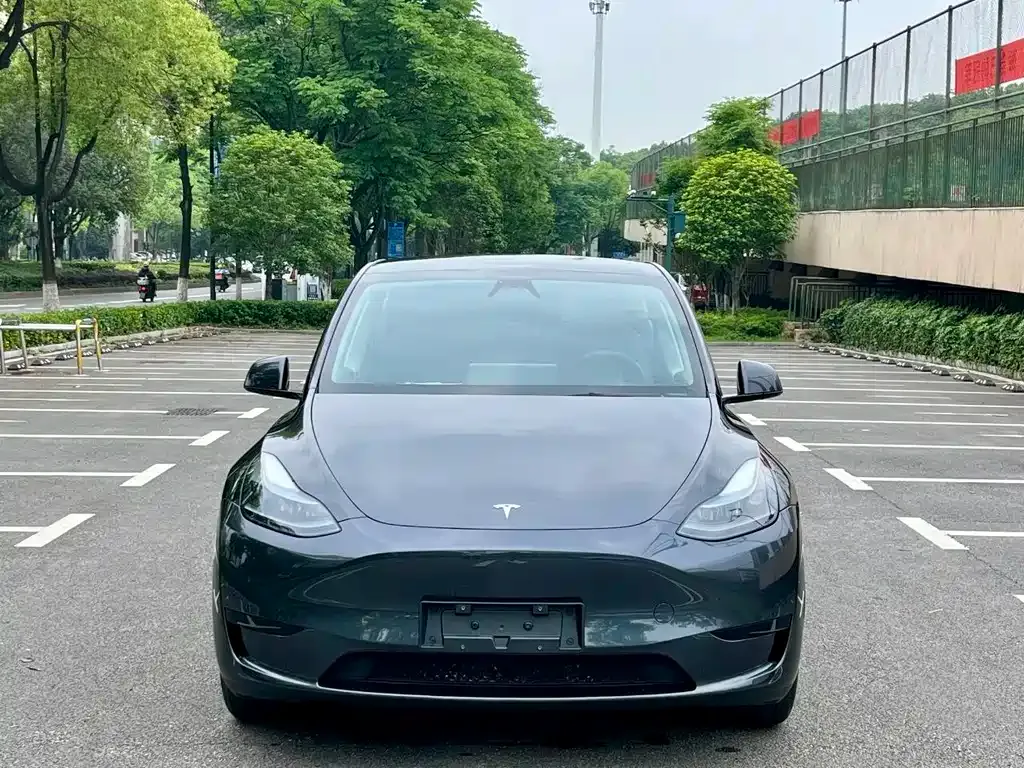 Tesla Model Y — фото 5