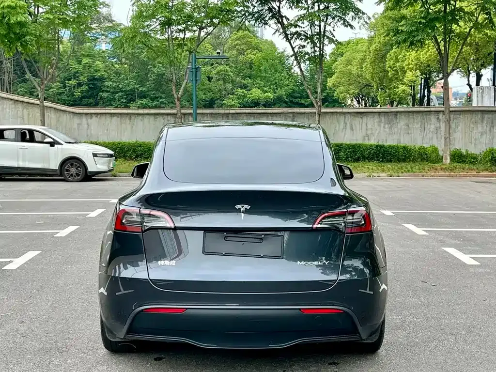Tesla Model Y — фото 7